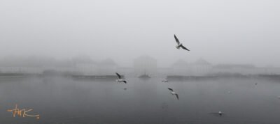 Schloss Nymphenburg München Herbststimmung (Leinwandbild) | Nymphenburg Palace Munich Autumn Mood (Canvas print) - Thomas Krieber - Auflage 58 Stück | Print run 58 Items